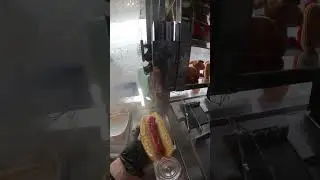 First Dog of the Day!