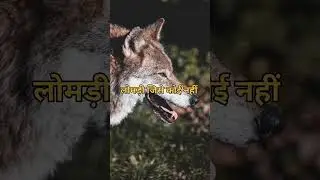 ऐसा कौन सा जानवर है जिसे कोई नहीं पलता है 🙄