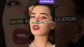 How porn effects your Brain.