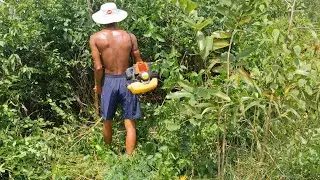Brush Cutter in Modern Farming | Easy Shrub & Weed Clearance