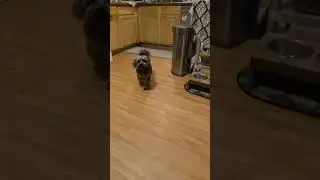 Colby demand Barking
