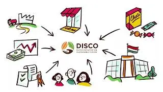 About the Dutch Initiative on Sustainable Cocoa (DISCO)