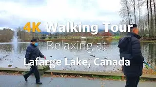 LAFARGE LAKE, CANADA. RELAXING 4K UHD WALKING TOUR | RAIN on SATURN