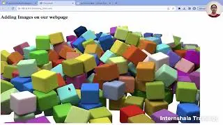 Add Images in HTML &ndash; Learn img Tag with Alt Text and Sizing 2025