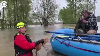 Cat saved from floodwaters near Independence, Oregon