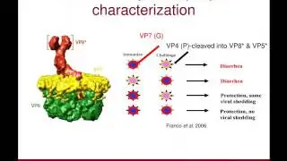 Dr. Douglas Marthaler - Rotavirus Epidemiology