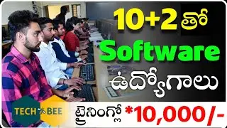 ఇంటర్ తో సాఫ్ట్వేర్ జాబ్స్💥 | HCL TechBee Software Job With Intermediate Qualification | Inter Jobs
