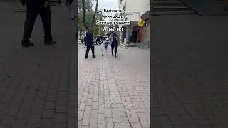 Хто не взяв ❌ тому шпіц😂 #memes #funny #challenge #top #юмор #humor #прикол #пранк #stitch