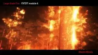 Large Scale Fire - Forest Fire