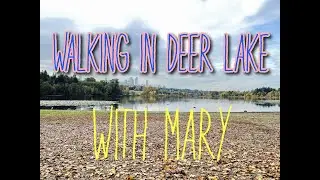 Walk in Deer Lake and Relax