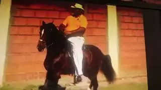 TRIBUTO AL CAMPE&Oacute;N DE CAMPEONES DON COQU&Iacute;