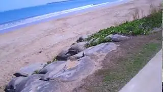 Mindil to Bullocky Point - Darwin cycle path
