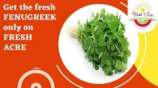 4I Fresh Acre || Fenugreek (मेथी)🌿|| 💯% fresh and organic.