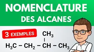 Nomenclature des ALCANES ✏️ Exercice | 1ère | Physique Chimie