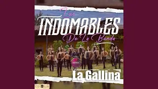 La Gallina