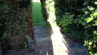 iPod Touch 5th Generation HD Video Test (OUTDOOR)