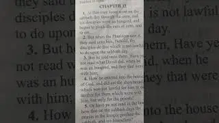 Mercy Above Ritual &ndash; Jesus Defends the Hungry -Saint Matthew 12:2-4
