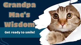 These Senior Wisdom Quotes Will Make You Think, Smile and Laugh 🤣😂