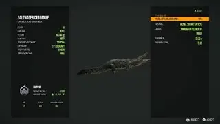 World record croc in COTW