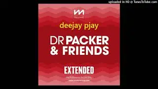 Surface - Falling In Love (Dr Packer & Casual Connection Remix - Extended)