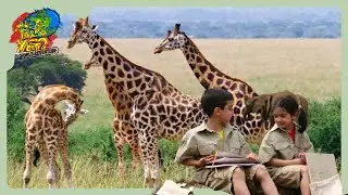 🦒 Fun Giraffe Adventures in Africa 🌍  | Are We There Yet? | Travelling with Kids