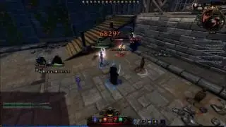 Neverwinter Online - DC debuff + Shadow Demon