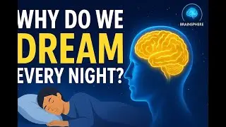 Why We Dream Every Night &mdash; Mind-Blowing Science Explained