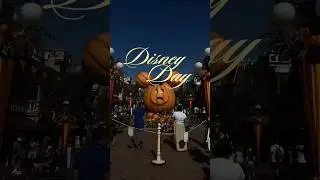 A magical day ✨ #disney #disneyland #vlog