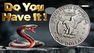 DO NOT SPEND These Eisenhower Dollars! (You're Throwing Away $5,000+)