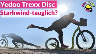 Tretroller bei 70 km/h Windböen! Downhill, XC, Scooter Sailing: Yedoo Trexx Disc für alles?