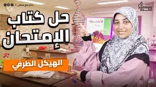 حل اسئلة الدعامة في الانسان الهيكل الطرفي كتاب الامتحان تالتة ثانوي 2026 الدرس الاول احياء