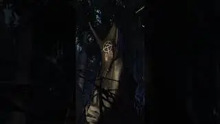The Whistling Man [SPOILER] - Fears To Fathom: Ironbark Lookout