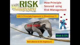 Business Partnership in FOREX Fund management