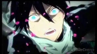 Noragami (AMV) |Animal -Chase holfelder