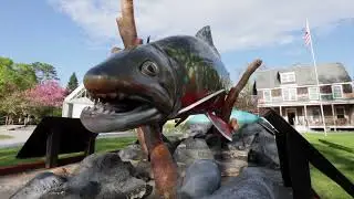 Battenkill Fly Fishing Festival 2025 Recap