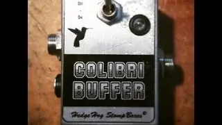 Colibr&igrave; Buffer - HedgeHog StompBoxes
