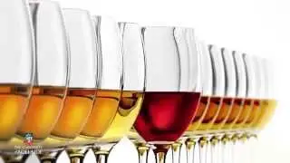 World of Wine: Wine chemistry
