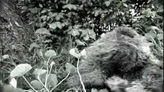 sniper movie trailer