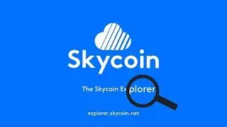 Exploring the Skycoin Explorer