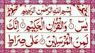 Surah Yaseen | Yasin Sharif | Surah Al Nas | Read Daily Quran 