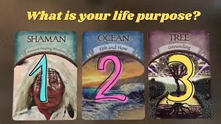 What is your life purpose? 🎆🎉🎁
