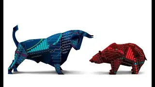 Live Stock Feed