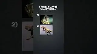 3 things that you will never see... #clashofclans #coc #cocstrategies
