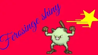 Ferosinge Shiny