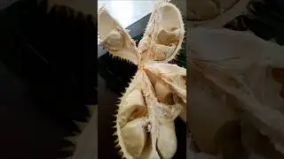 Hi pickle lovers 😋😋 #villagefruits #durian