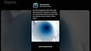 Echoes from an Antarctic Ice Borehole