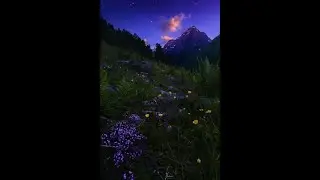 (FREE FOR PROFIT) Lieu sad hyperpop  type beat - 