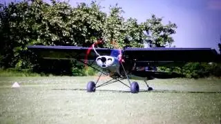 Valdez style Zlin Savage Shock Cub