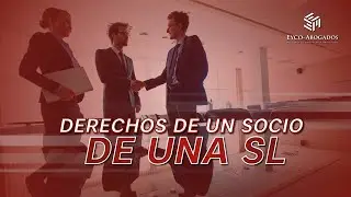 Socio de una Sociedad Limitada ¿Tengo algún derecho?⚖️