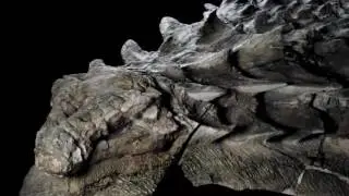 New dinosaur fossil: well preserved that looks like a statue.